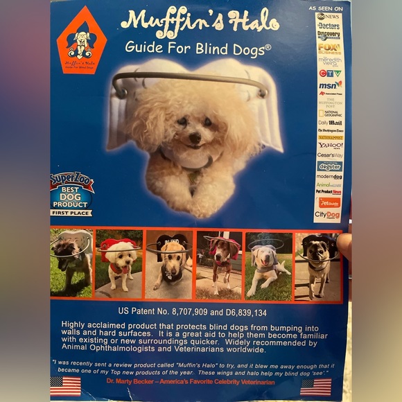 Muffin’s Halo Dog Please Read Muffins Halo Guide For Blind Dogs Xxs